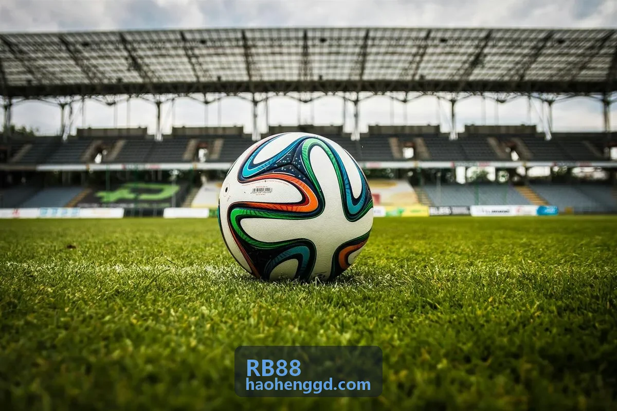 RB88 智能企业背景视觉